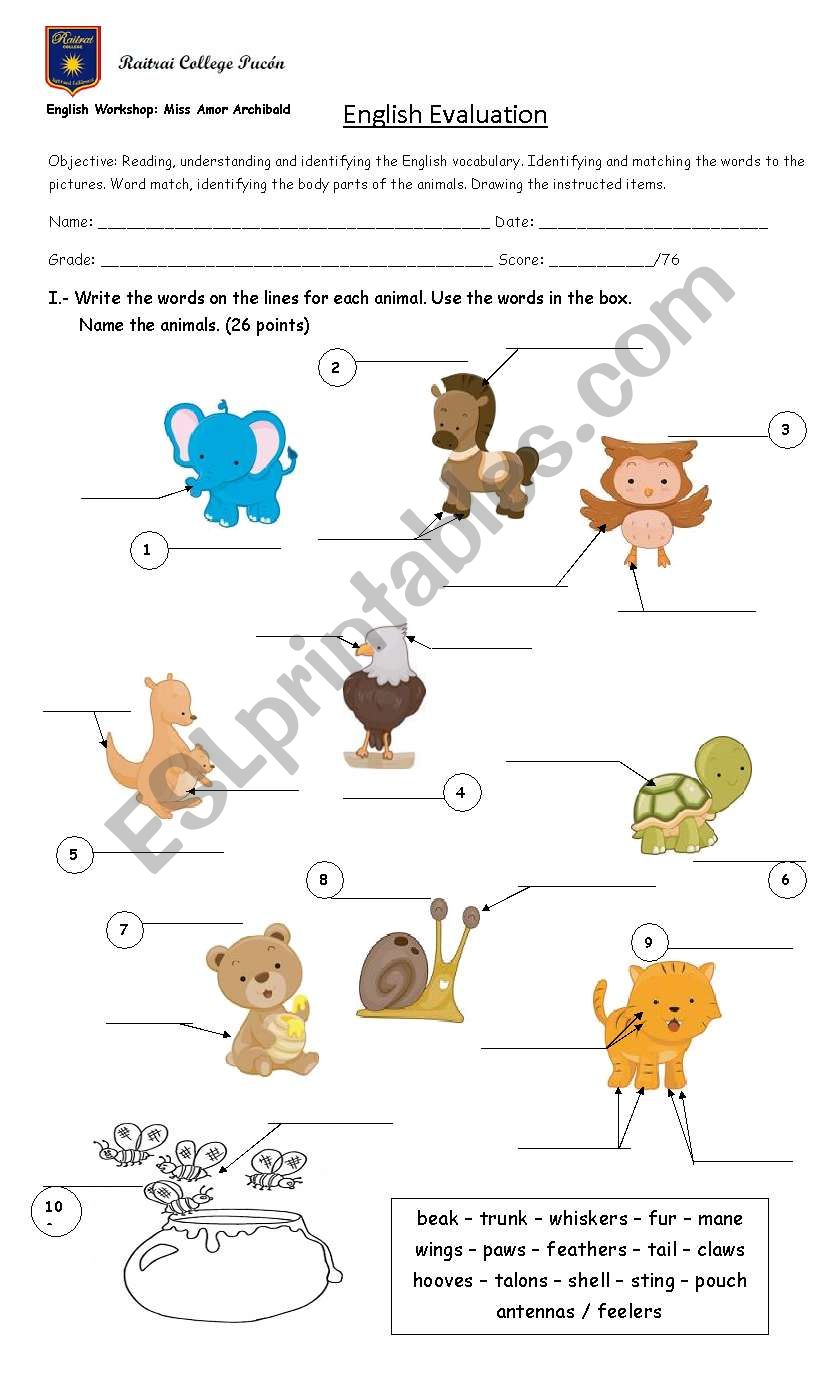 4th Grade English Evaluation worksheet