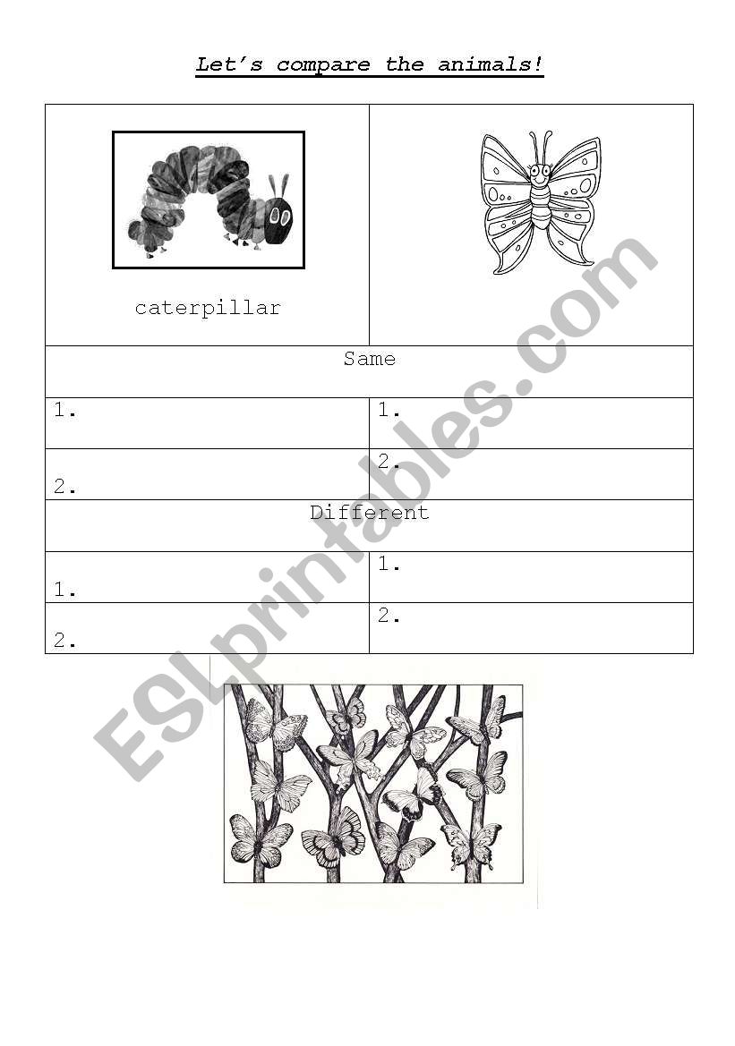 Lets compare! worksheet