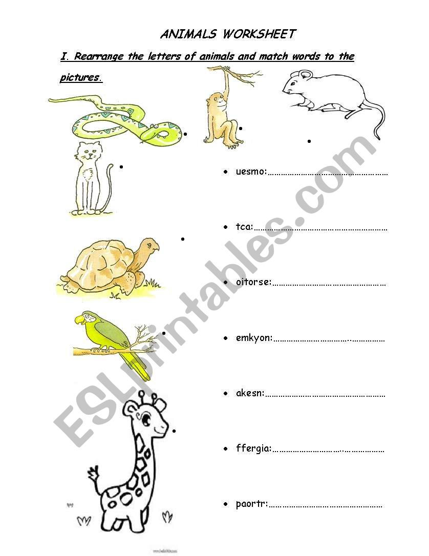 Zoo animals worksheet