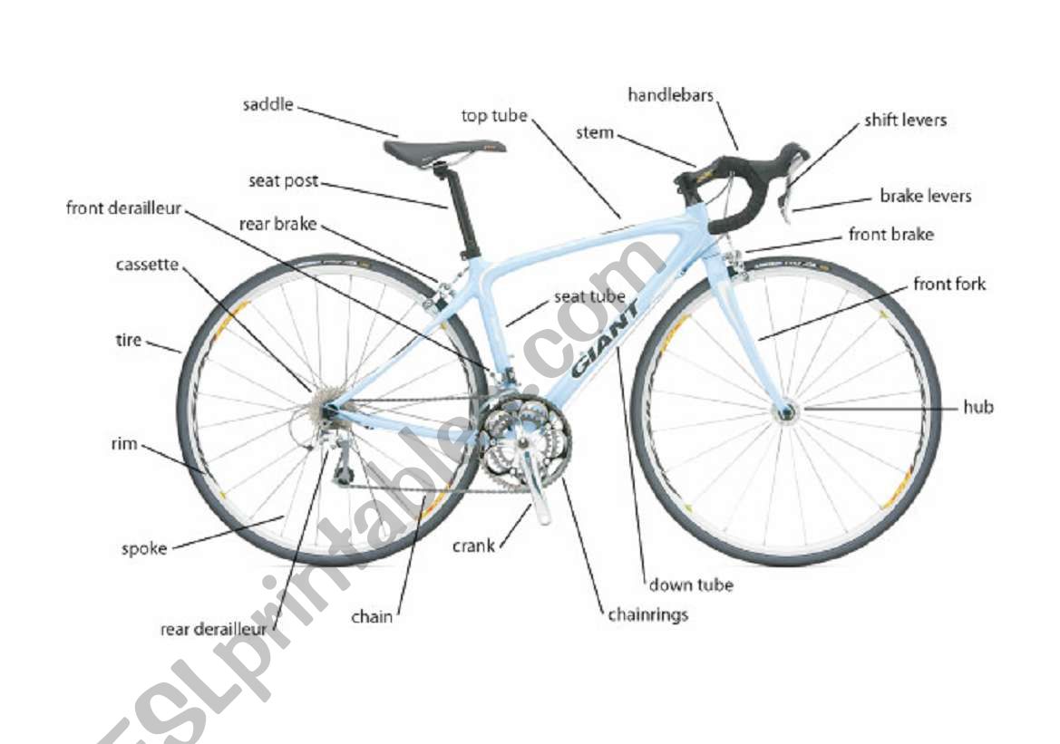 Bicycle Parts worksheet
