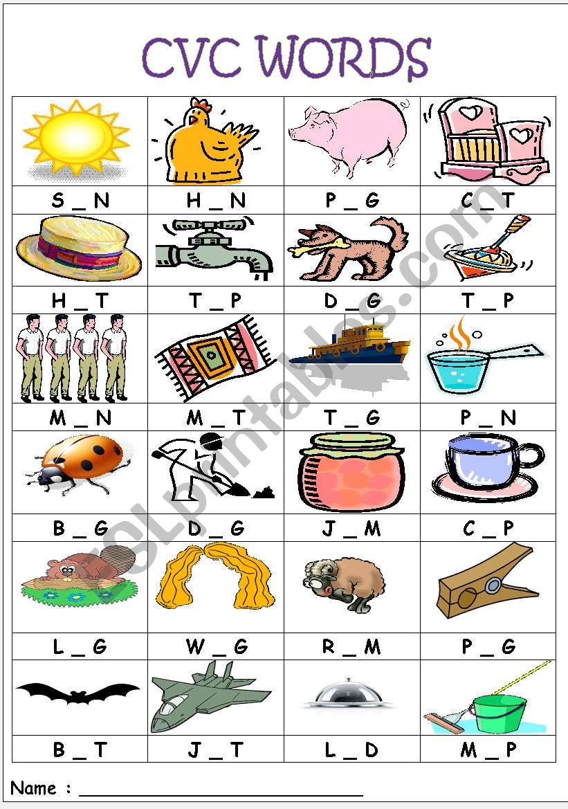 CVC words- medial sounds worksheet