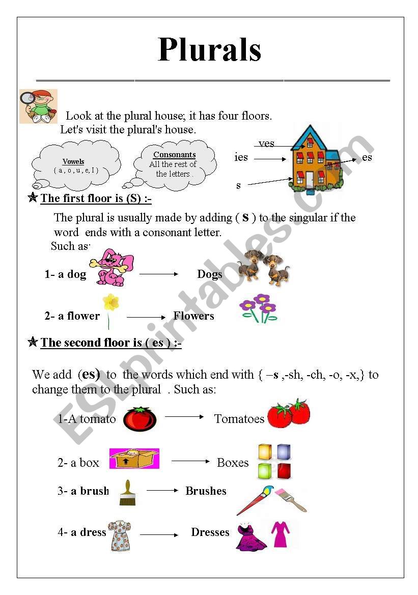 plurals worksheet