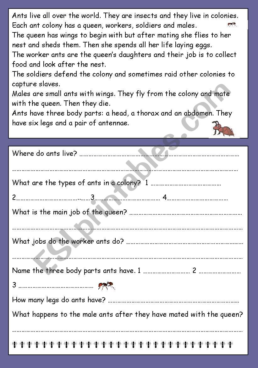 Ants worksheet