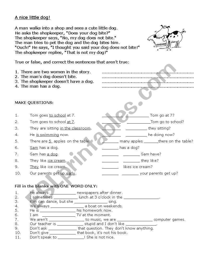 A nice little dog! worksheet