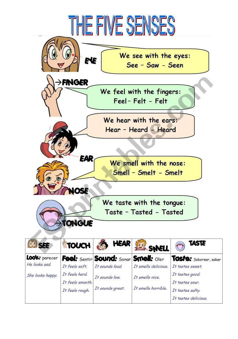 THE FIVE SENSES 1/2 worksheet