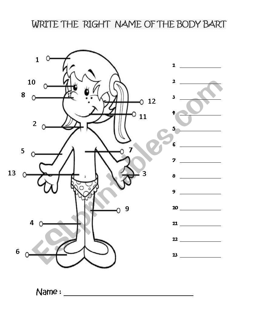 Body Parts worksheet