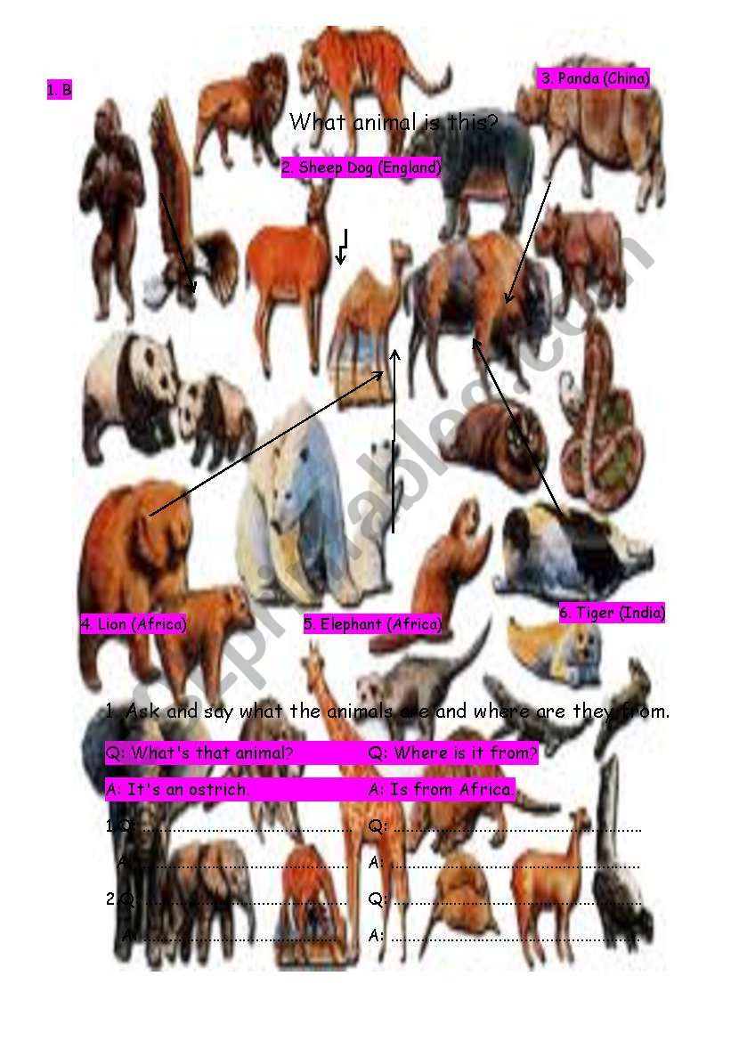What animal is this? worksheet