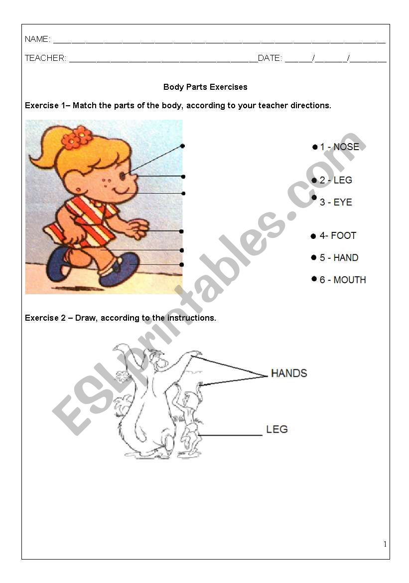 BODY PARTS worksheet