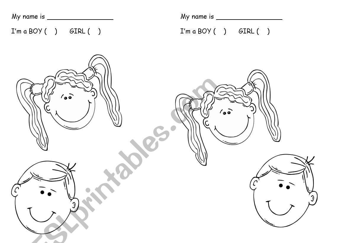 BOY OR GIRL? worksheet