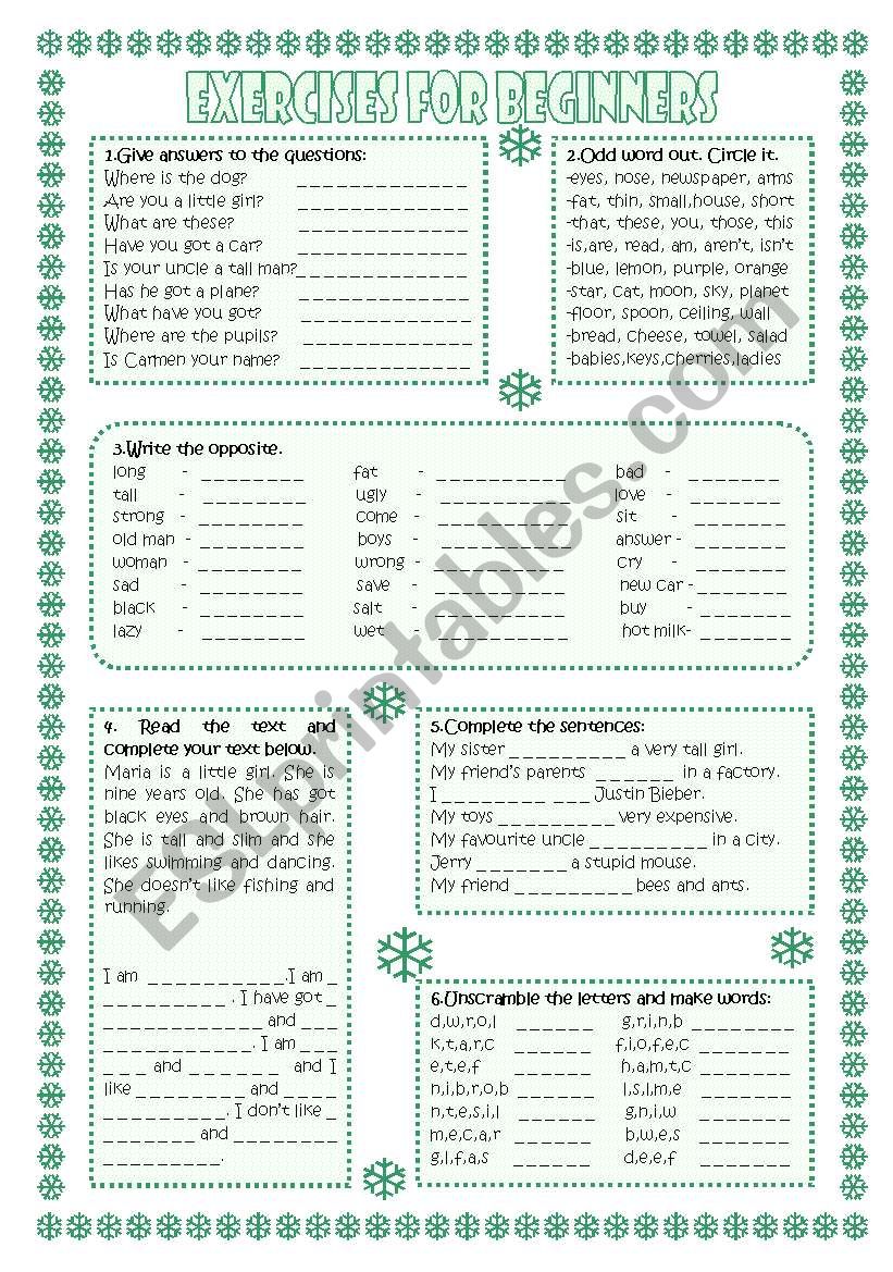 exercises for beginners worksheet