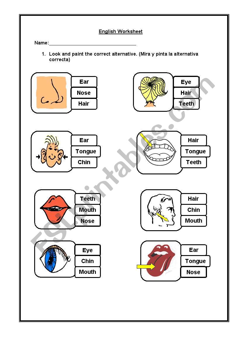 MY FACE 1ST PART worksheet