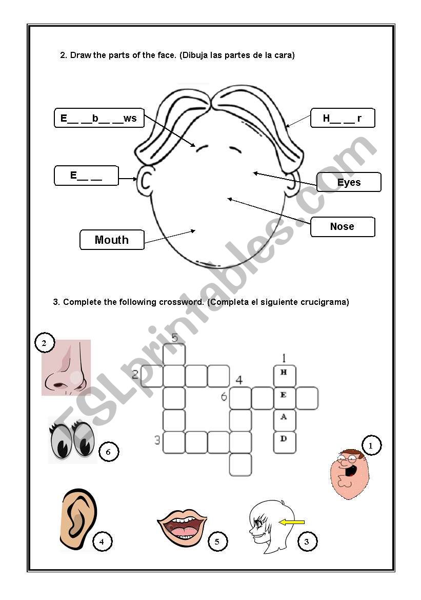 MY FACE 2ND PART worksheet