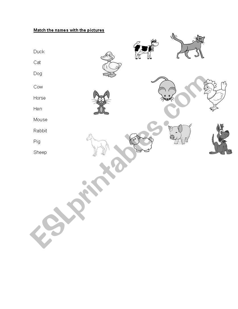 Animals worksheet