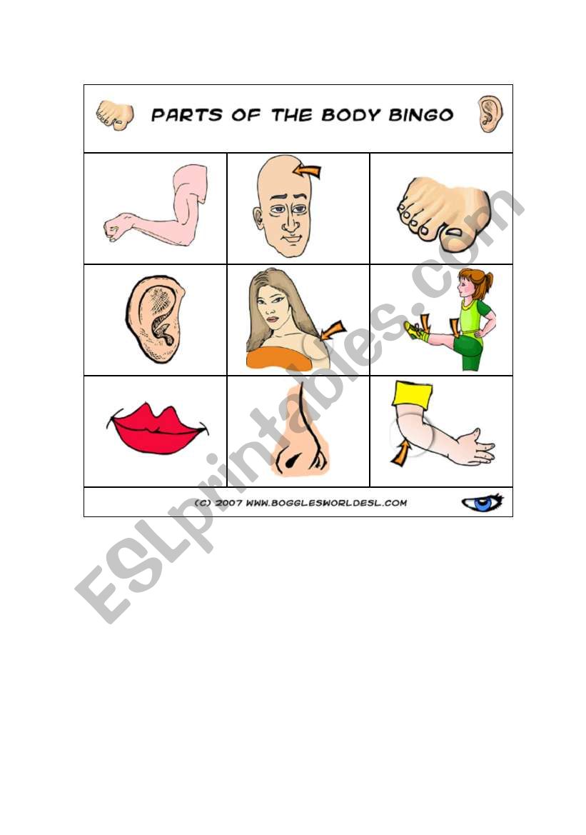 body parts bingo worksheet