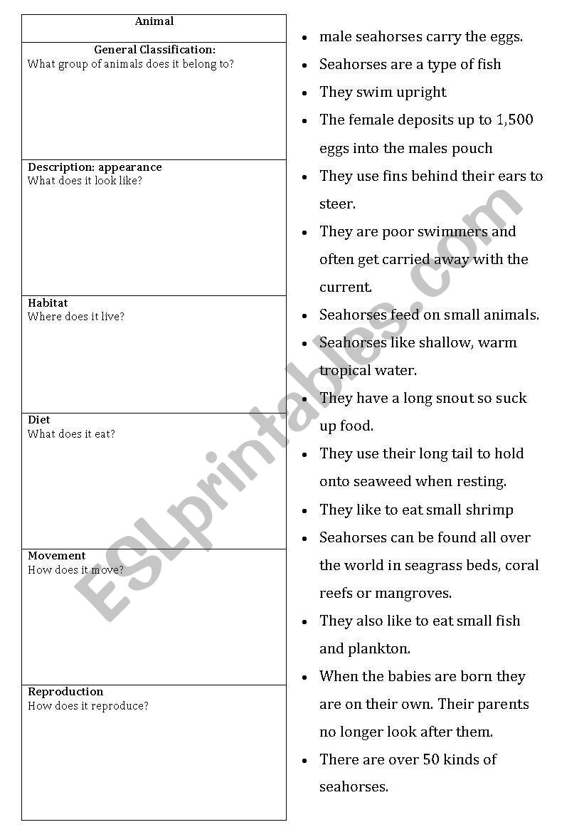 Information Report on Seahorses