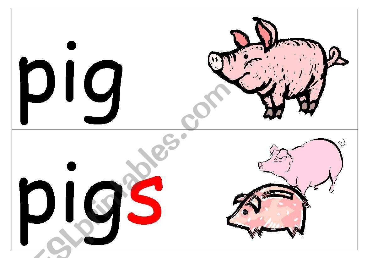 Flash-cards of plural nouns part2