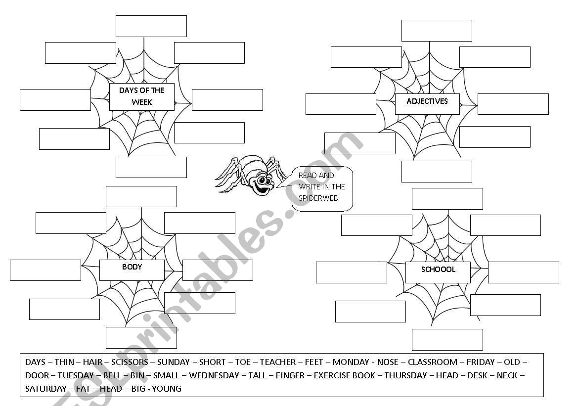 VOCABULARY insert in the spiderweb