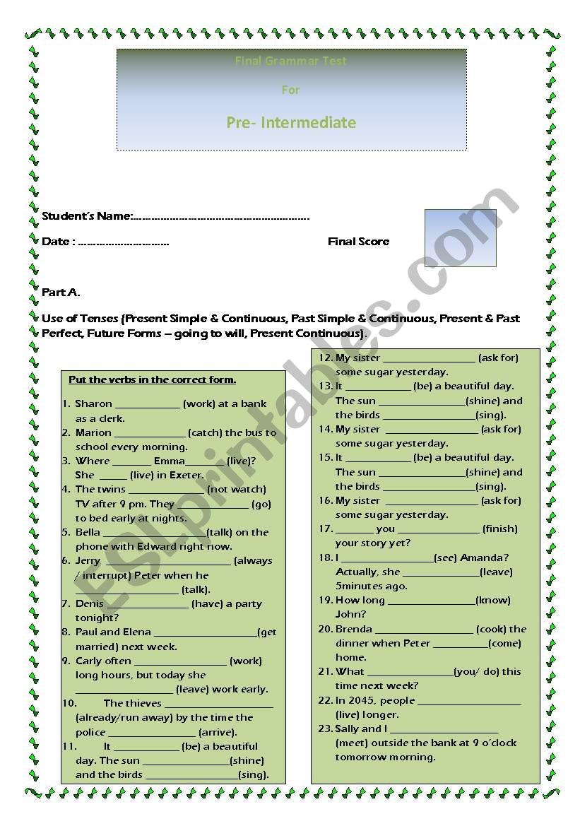 Final Grammar Test for Pre-Intermediate