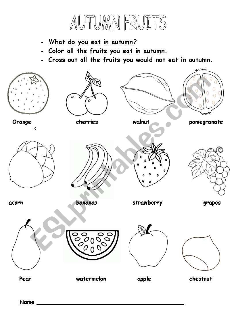 AUTUMN FRUITS worksheet