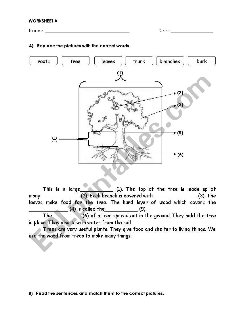 parts of tree worksheet