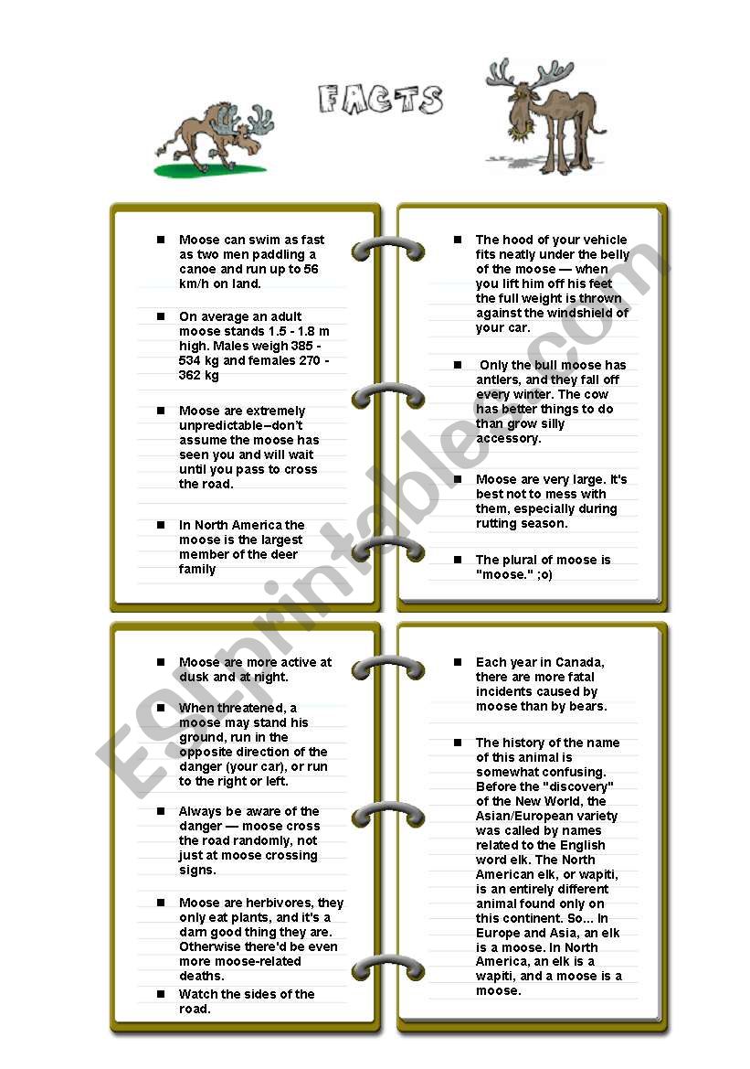 THE MOOSE (fun lesson) (5/6) - FACTS