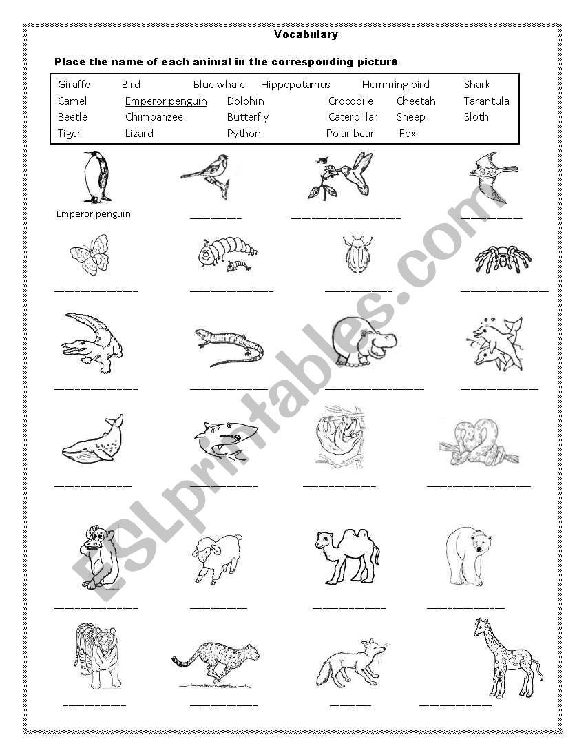 Animals worksheet