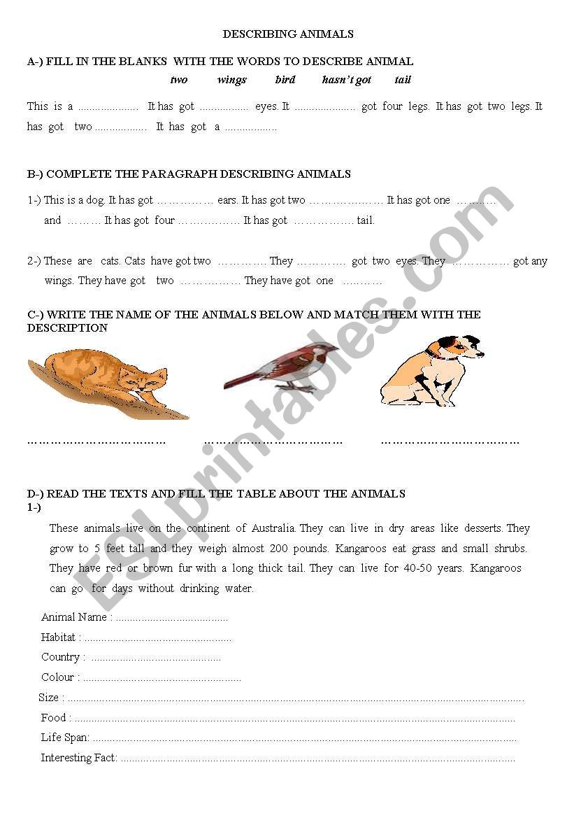 Describing animals worksheet