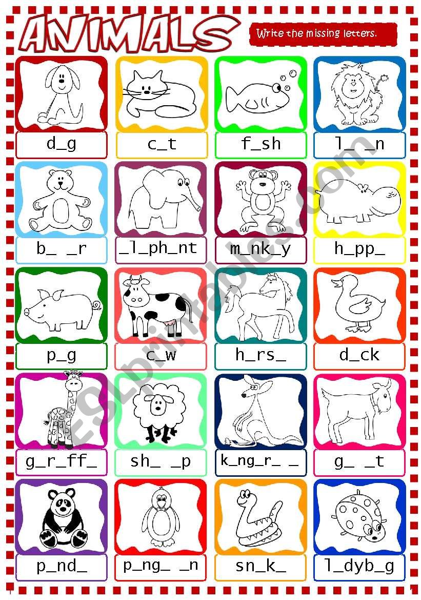 Animals  *B&W included* worksheet