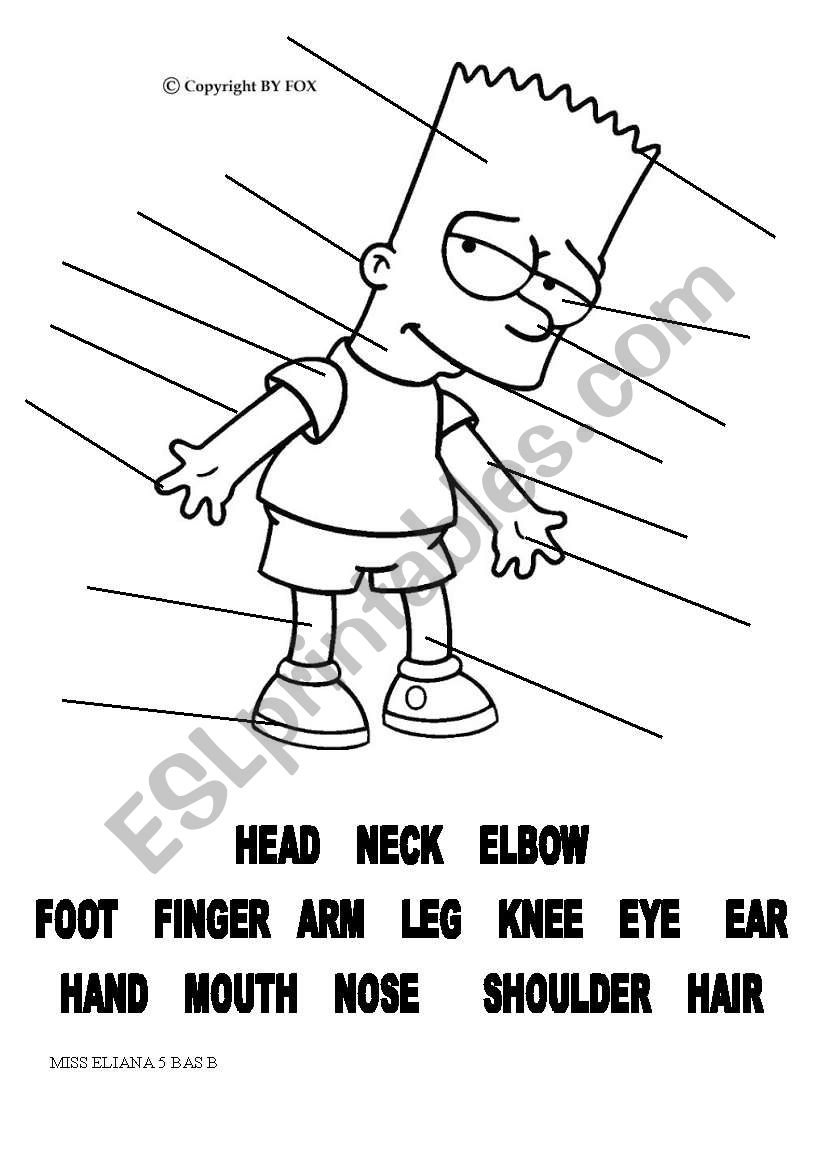 Body parts worksheet