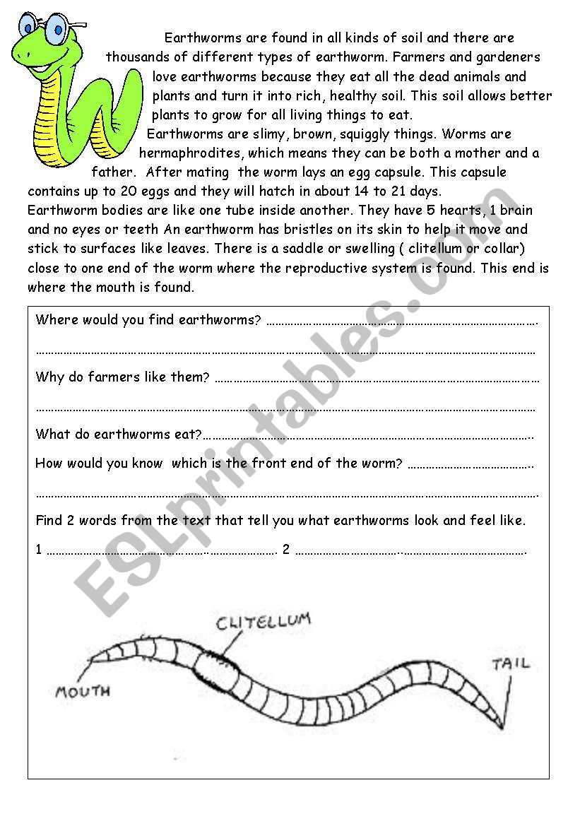 Earthworms worksheet