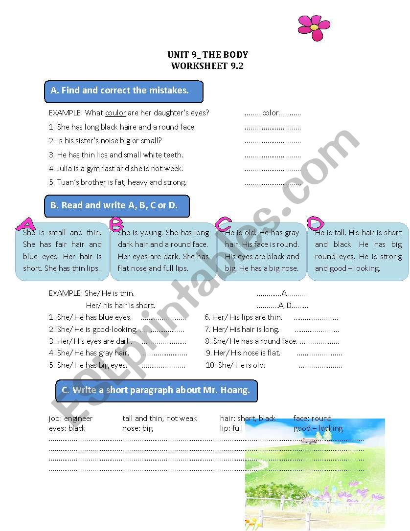 my body appearance worksheet