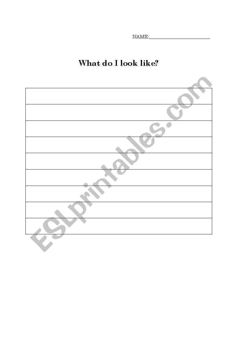 What do I look Like? worksheet