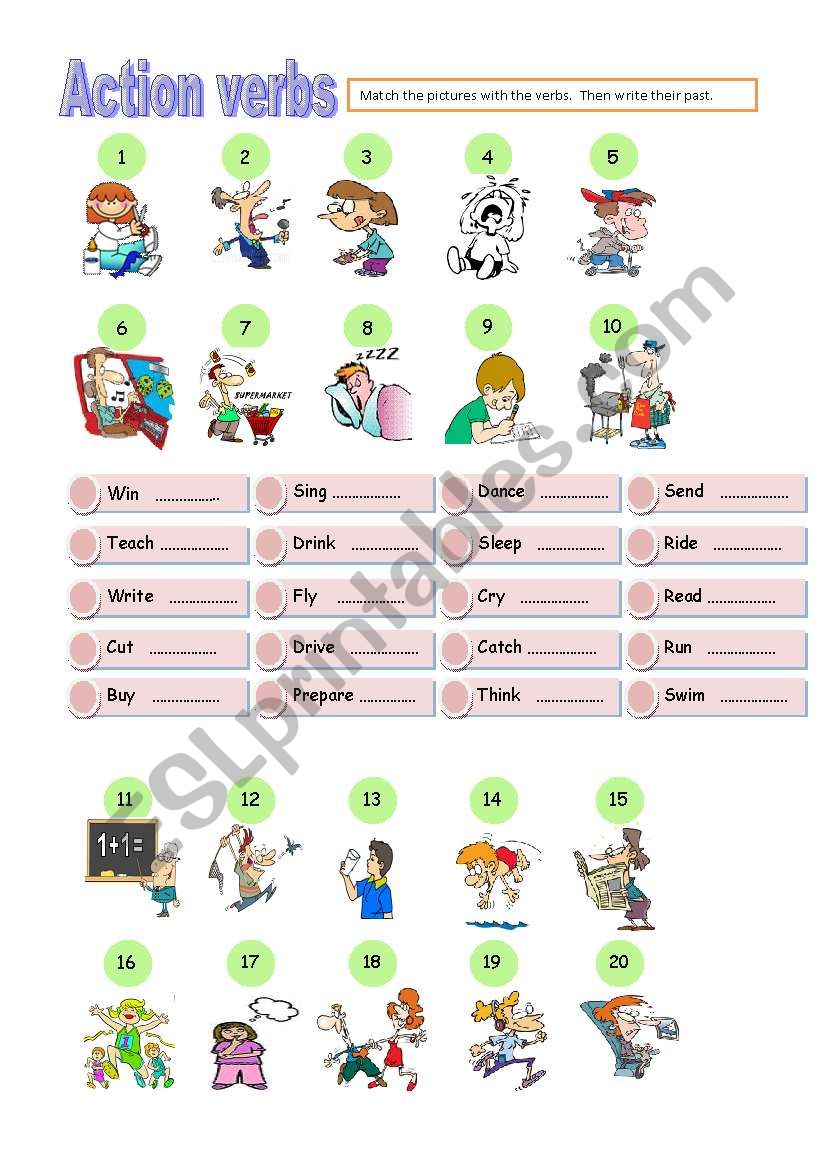 action verbs  worksheet