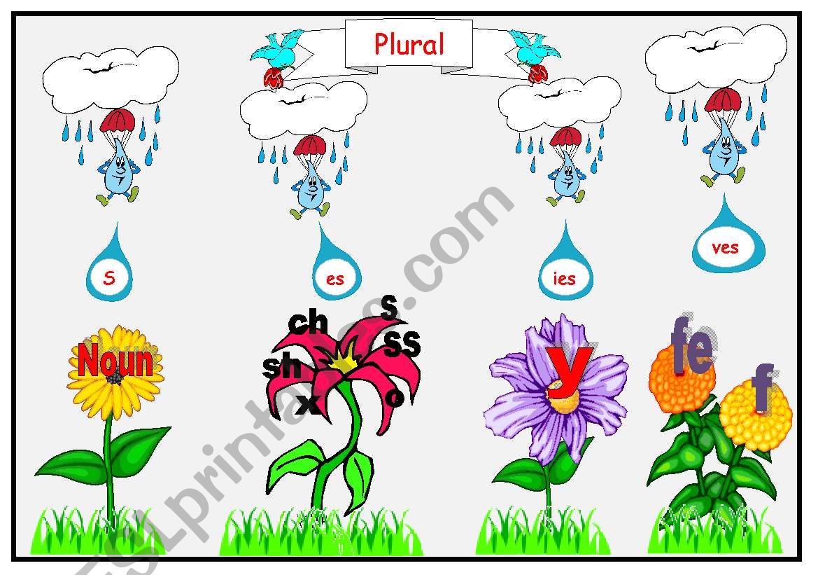 plural chart worksheet