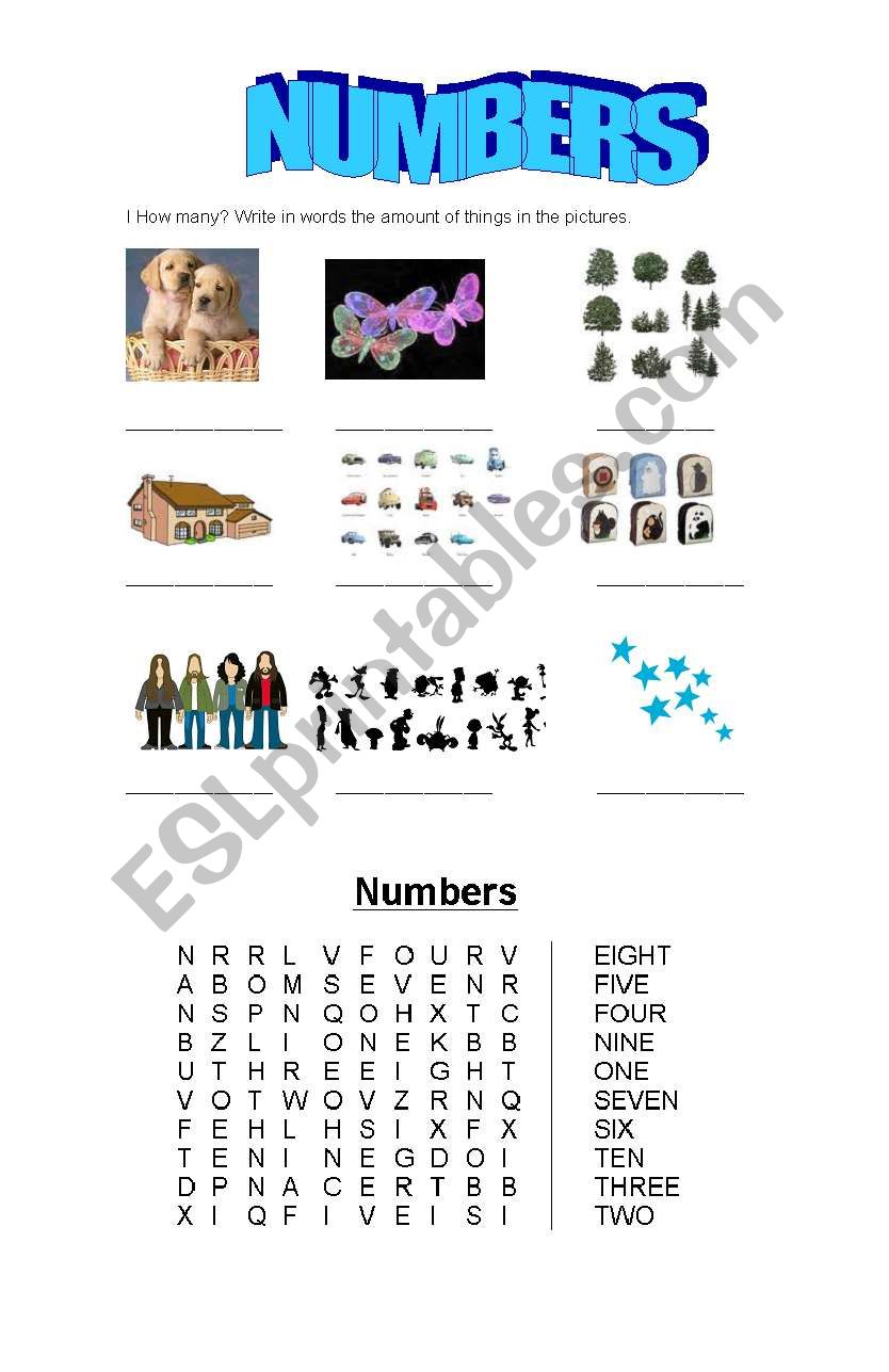 Numbers worksheet