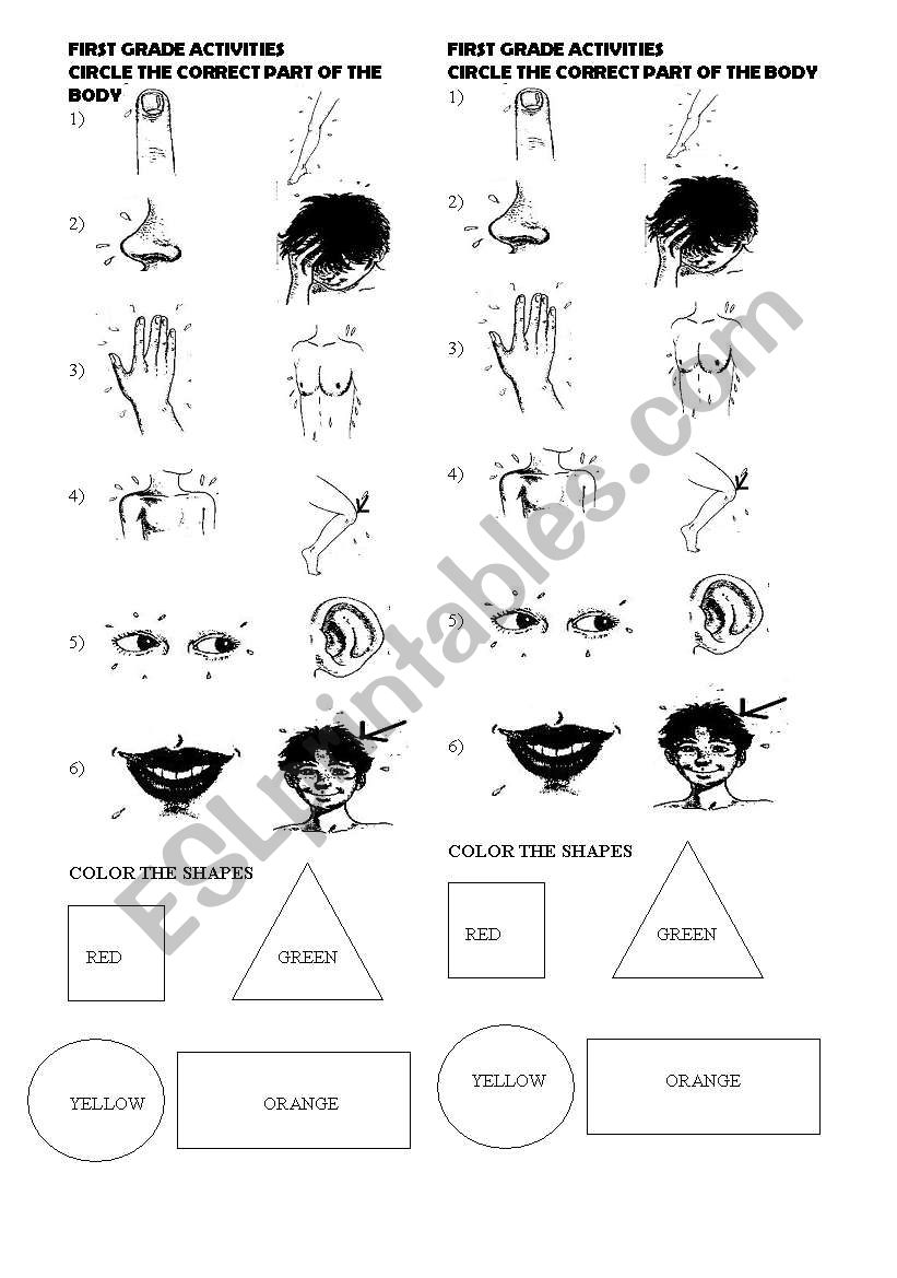 Parts of the body and shapes worksheet