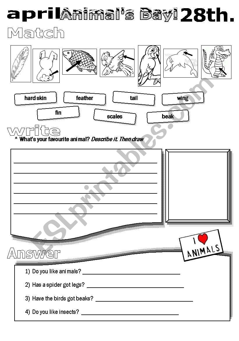 AnimalÂ´s Day Activity worksheet