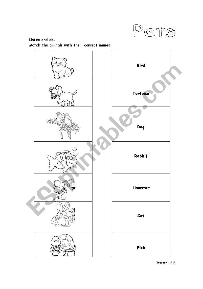 Pets worksheet