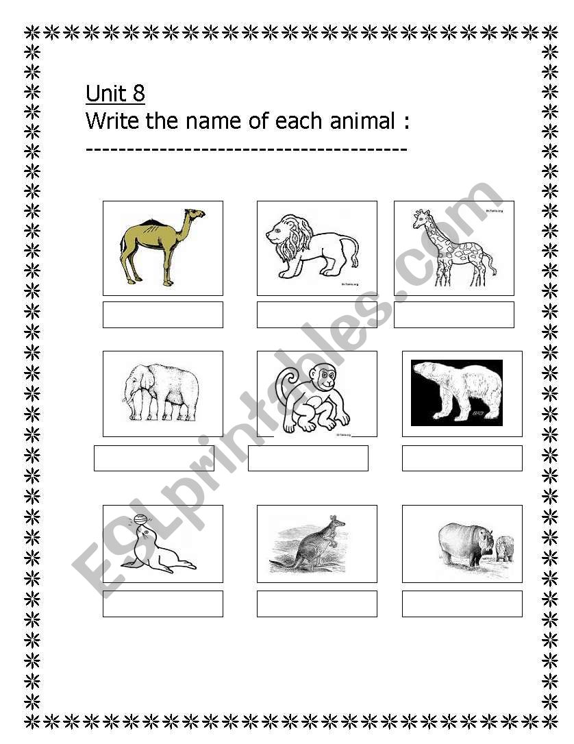 animals worksheet