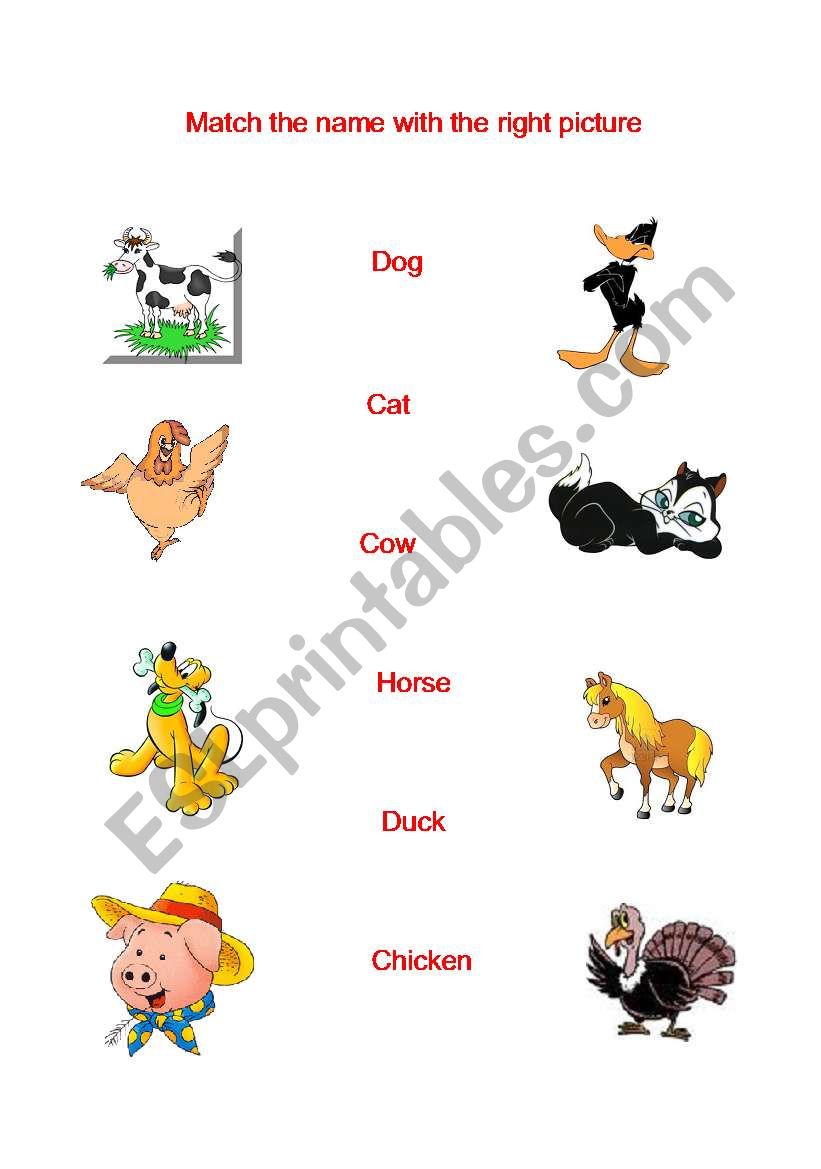 The animals. worksheet