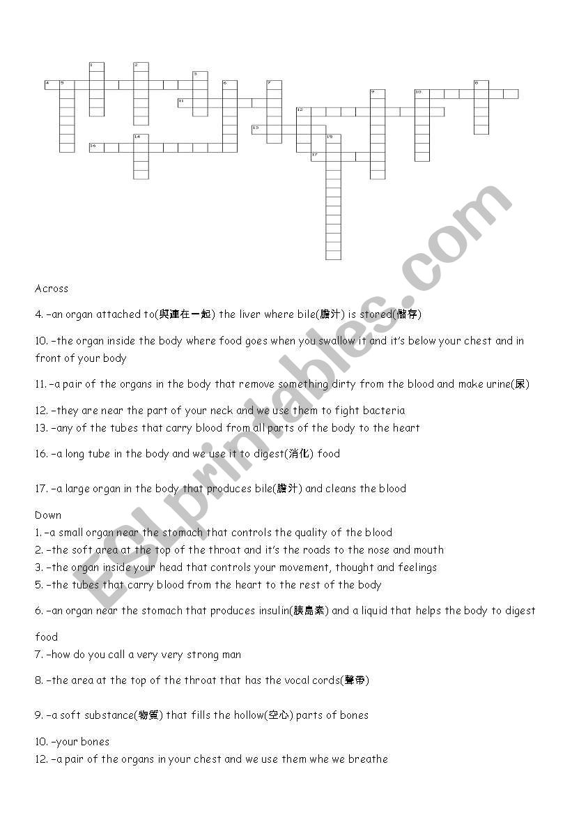 introduction to internal organs(crosswords)