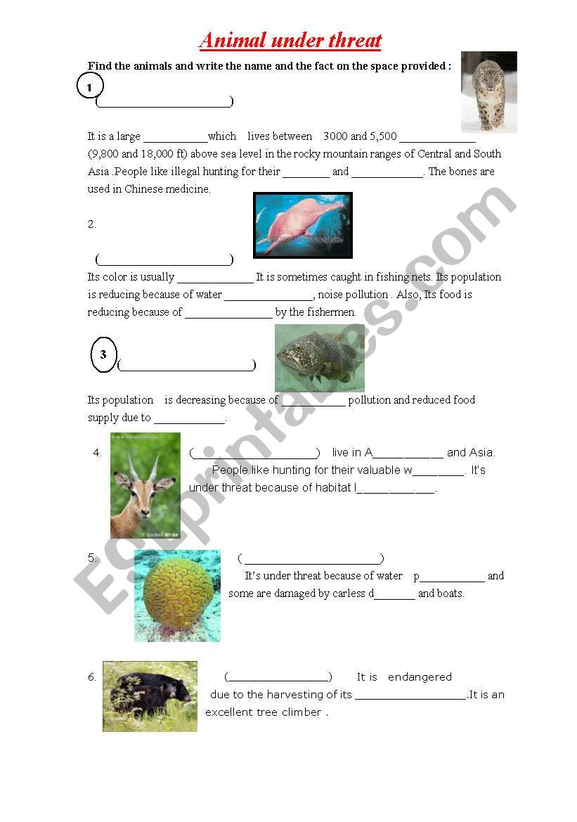 Animal under threat worksheet