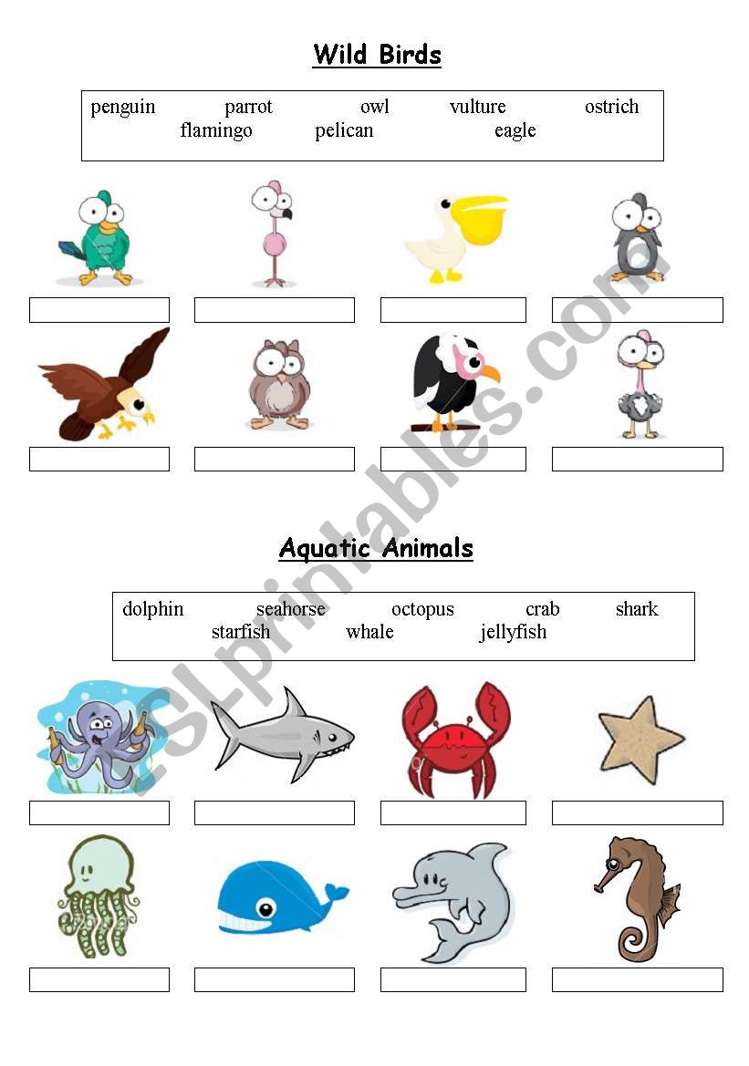 Birds & Aquatic Animals - matching exercise