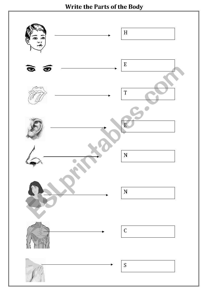 Write the Parts of the Body worksheet