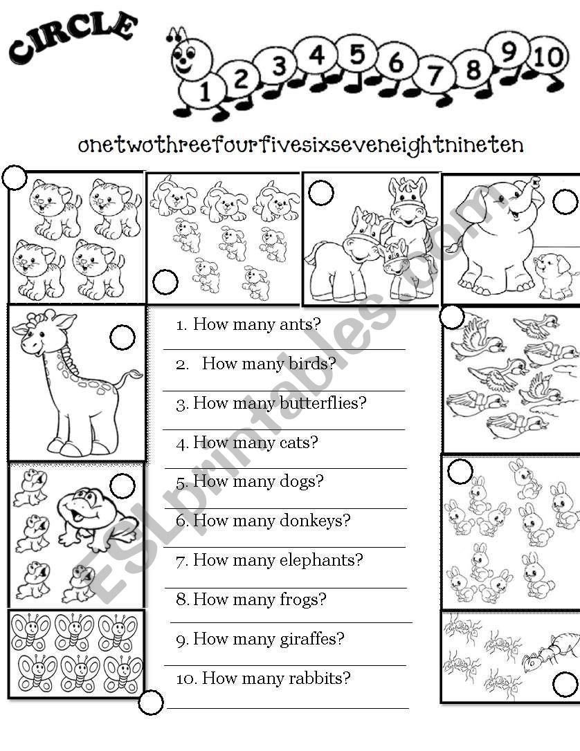 Numbers 0-10 + How Many...? (worksheet)