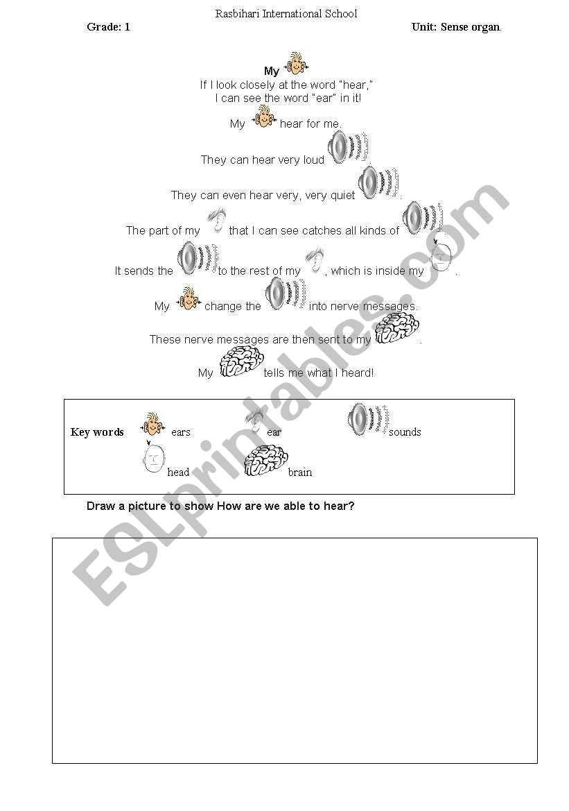 English worksheets: Sense organ