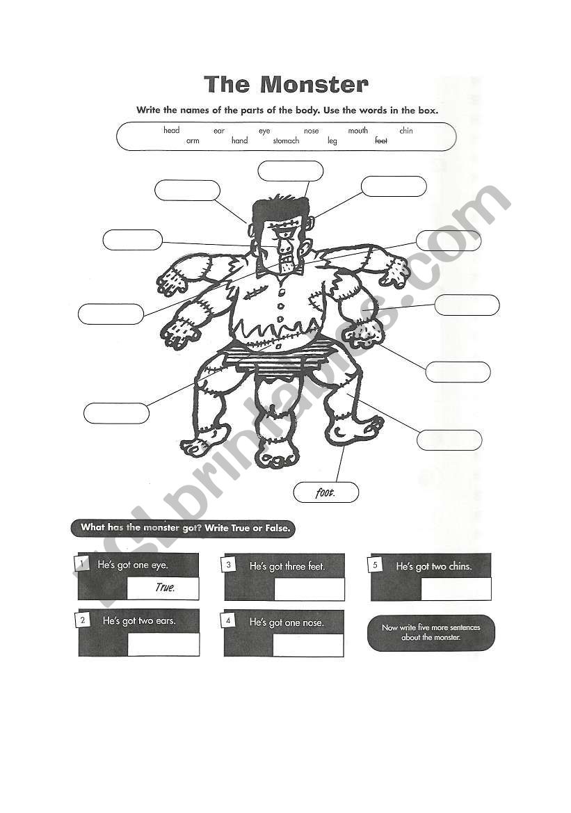 parts of the body worksheet