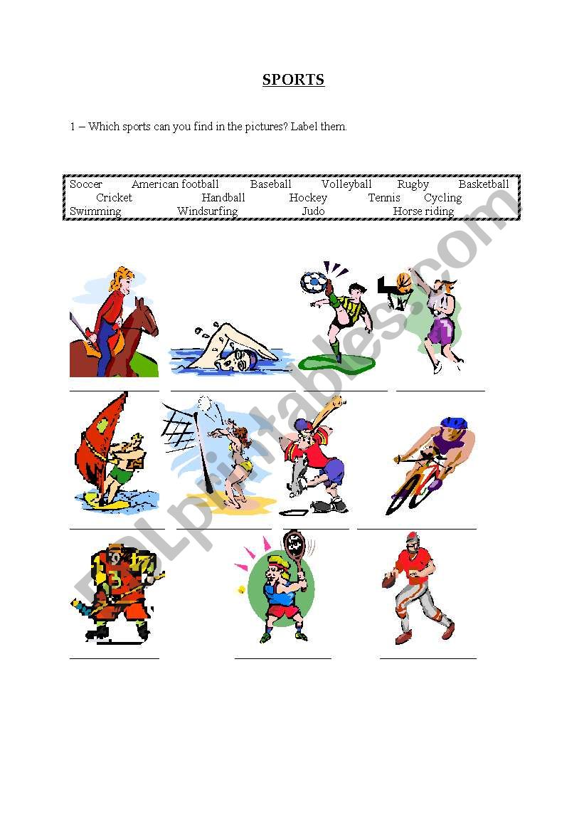 Sports worksheet