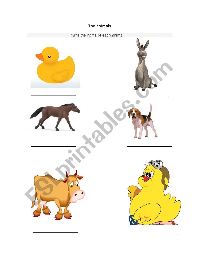 The animals worksheet