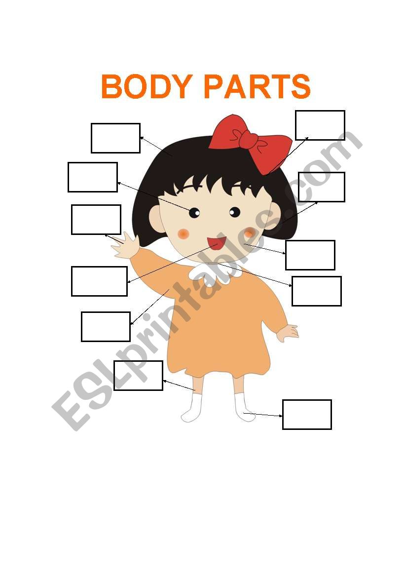 Body Parts worksheet